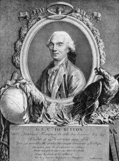 Georges-Louis Leclerc, comte de Buffon, naturaliste français, 18e siècle - Unbekannt