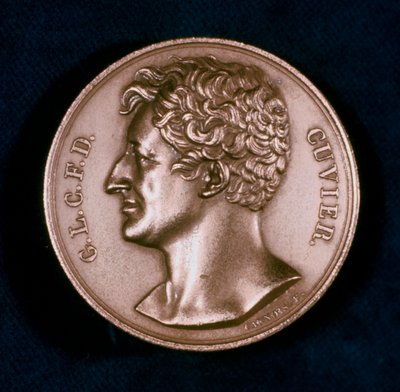 Georges Léopold Chrétien Frédéric Dagobert, Baron Cuvier, anatomiste français, 19ème siècle - Unbekannt