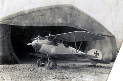 Albatros allemand DV, Souilly, France, 2 janvier 1918 - Unbekannt