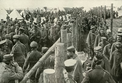 Prisonniers allemands entrant dans les cages, 1919 - Unbekannt