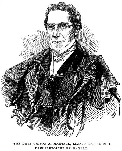 Gideon Algernon Mantell, géologue anglais - Unbekannt
