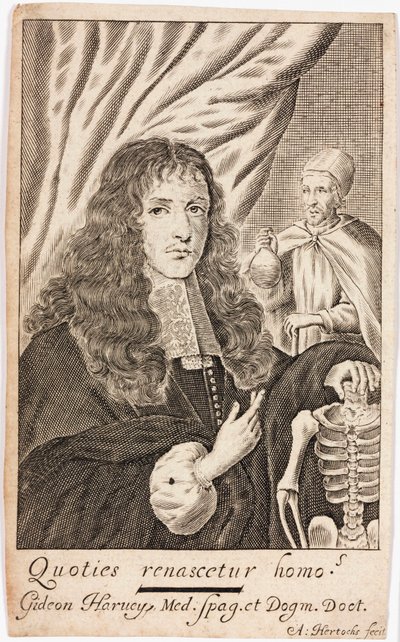 Gideon Harvey, médecin anglais - Unbekannt