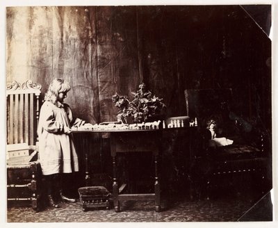 Fille jouant avec un ensemble de jouets Arche de Noé, vers 1905 - Unbekannt