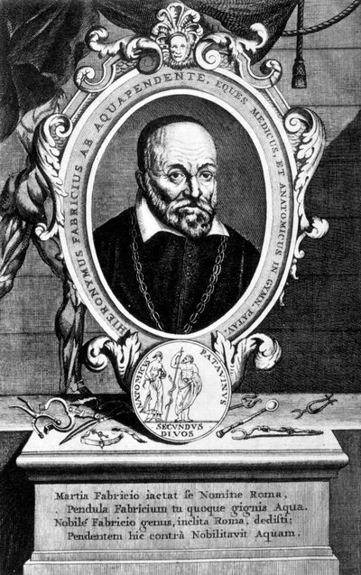 Girolamo Fabrici, anatomiste et chirurgien italien, 17ème siècle - Unbekannt