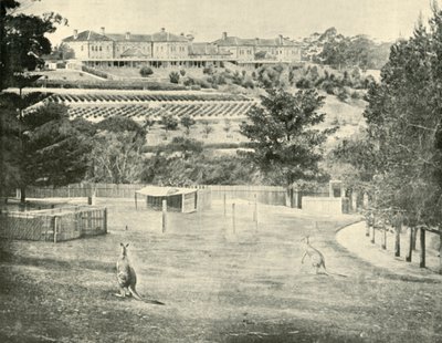 Asile de Gladesville pour les aliénés, Nouvelle-Galles du Sud, 1901 - Unbekannt