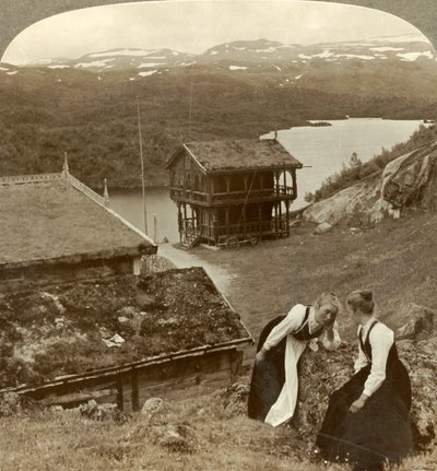 Commérages à une auberge de bord de route à Botten, surplombant le lac Voxli - vue vers les montagnes Haukeli, Norvège - Unbekannt