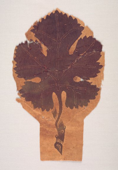 Feuille de vigne d