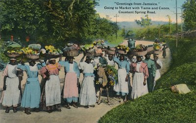 Salutations de la Jamaïque. Aller au marché avec des ignames et des cannes. Constant Spring Road, 1913 - Unbekannt