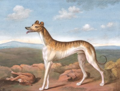 Lévrier : face à gauche, avec un lièvre mort à ses pieds, vers 1805 - Unbekannt
