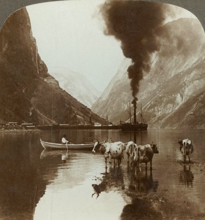 Vue de Gudvangen sur le Naerofjord où la mer s