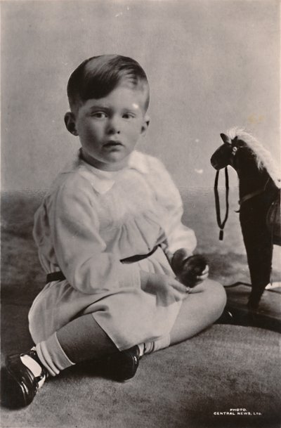Le fils aîné de S.A.R. la princesse Mary, l