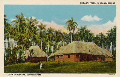 Habana : Paysage cubain, Bohios. Paysage cubain, huttes de campagne, vers 1910 - Unbekannt
