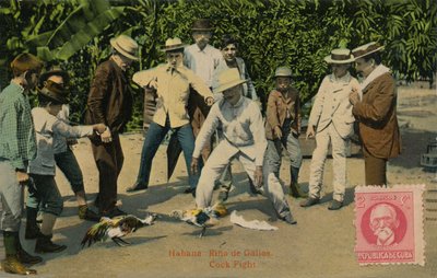 Habana: Rina de Gallos. Combat de coqs, 1918 - Unbekannt