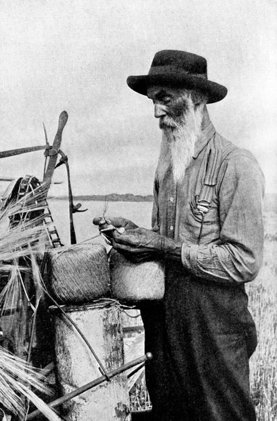 Temps de récolte dans le district de la rivière Rouge, Alberta, Canada, 1922 - Unbekannt