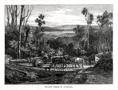 Transport de bois, Australie, 1877 - Unbekannt