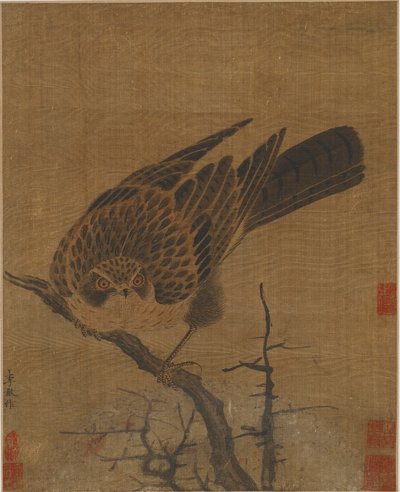 Faucon sur une branche sans feuilles, possiblement dynastie Yuan, 1279-1368 - Unbekannt