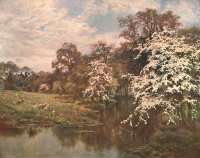 Fleurs d