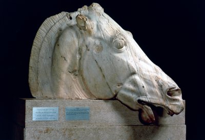 Tête de cheval du char de Séléné du fronton est du Parthénon - Unbekannt