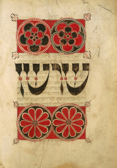 Manuscrit hébreu (vélin) - Unbekannt