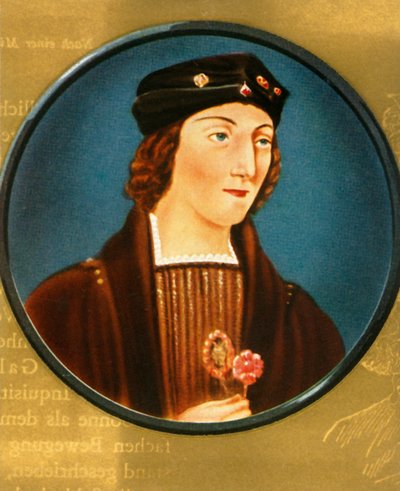 Henri VII - Unbekannt