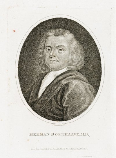 Herman Boerhaave, médecin, chimiste et botaniste néerlandais, début du XVIIIe siècle - Unbekannt