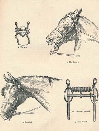 Mors de cheval, bons et mauvais, vers 1909-1910 - Unbekannt