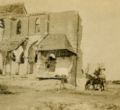 Chevaux broutant près d