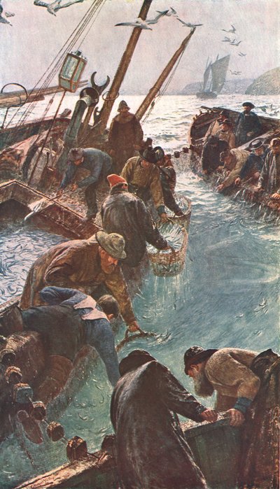 Comment nous avons attrapé les sardines, 1895, vers 1902 - Unbekannt