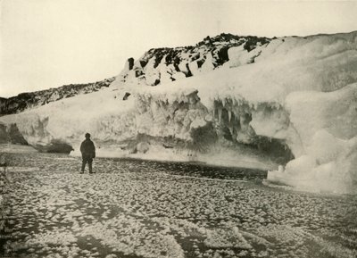Fleurs de glace sur la glace de mer nouvellement formée au début de l