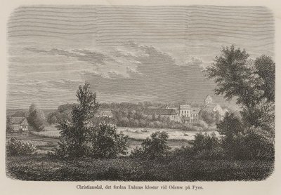 Illustration tirée du livre Nordiska taflor par un auteur inconnu et publiée par Albert Bonnier - Unbekannt