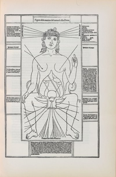 Illustration de Fasciculo di medicina par Johannes de Ketham, 1493 - Unbekannt