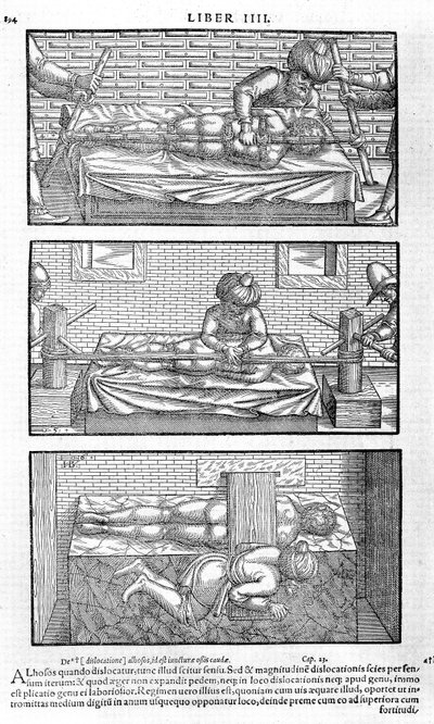 Illustration du Liber canonis de medicinis cordialibus par Avicenne, 1556 - Unbekannt