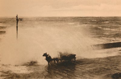 Dans une vague - Unbekannt