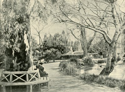 Dans les jardins botaniques, Adélaïde, 1901 - Unbekannt
