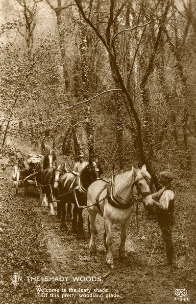 Dans les bois ombragés, fin 19e ou début 20e siècle - Unbekannt