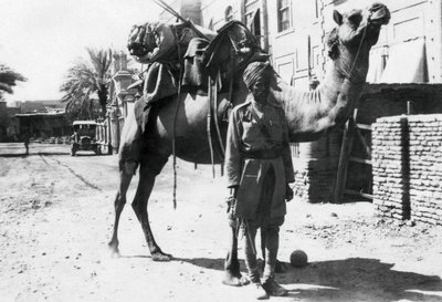 Cavalier indien à dos de chameau, Bagdad, 1918 - Unbekannt