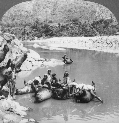 Peaux de bœufs gonflées utilisées comme bateaux sur la rivière Sutlej, Pendjab, Inde, vers 1900 - Unbekannt