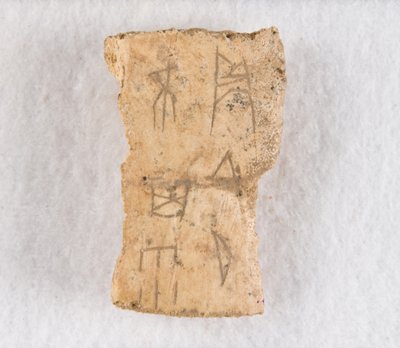 Fragment d