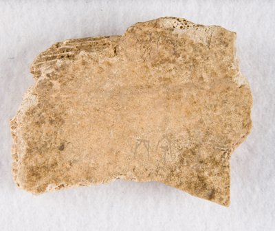 Fragment d