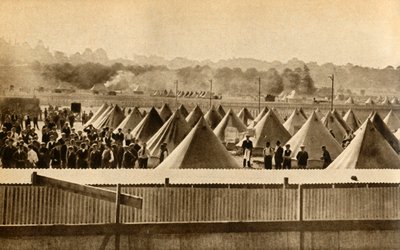 Camp d