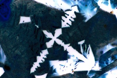 Laitier d