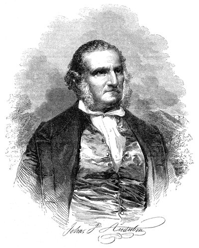 John James Audubon 1780-1851, ornithologue et artiste américain, 1852 - Unbekannt