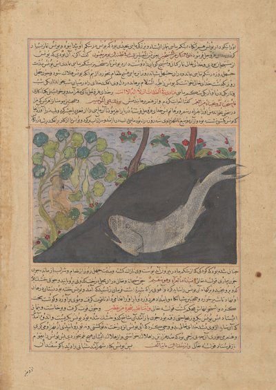 Jonas et la baleine, folio d