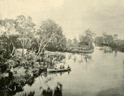 Jonction des rivières Glengarry et Thompson, Victoria, 1901 - Unbekannt