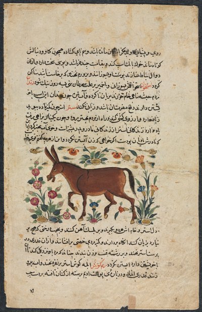Khar Ass, du Nuzhat-nama-yi alai Excellent Livre de Conseils..., 1400s - Unbekannt