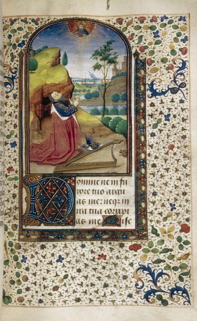 Le roi David en prière Livre d