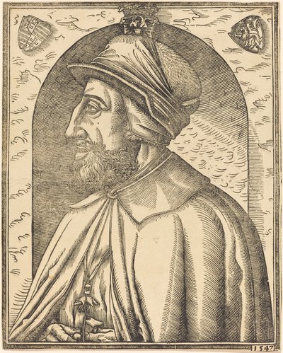 Roi Ferdinand d