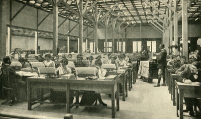 Dames employées à la tabulation des retours du recensement américain, 1901 - Unbekannt