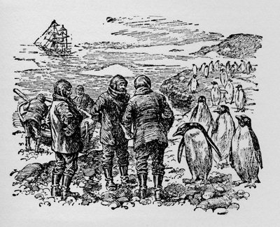 Accosté sur une petite île habitée par des myriades de manchots, vers 1918 - Unbekannt