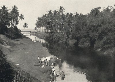 Paysage au bord de la rivière près de Dehiwala, entre Colombo et Mount Lavinia, 1926 - Unbekannt